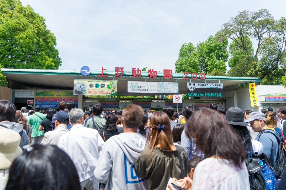 Our Japan Language study tours for teenagers include a fun-filled trip to Ueno Zoo, Japan’s oldest and most famous zoo.